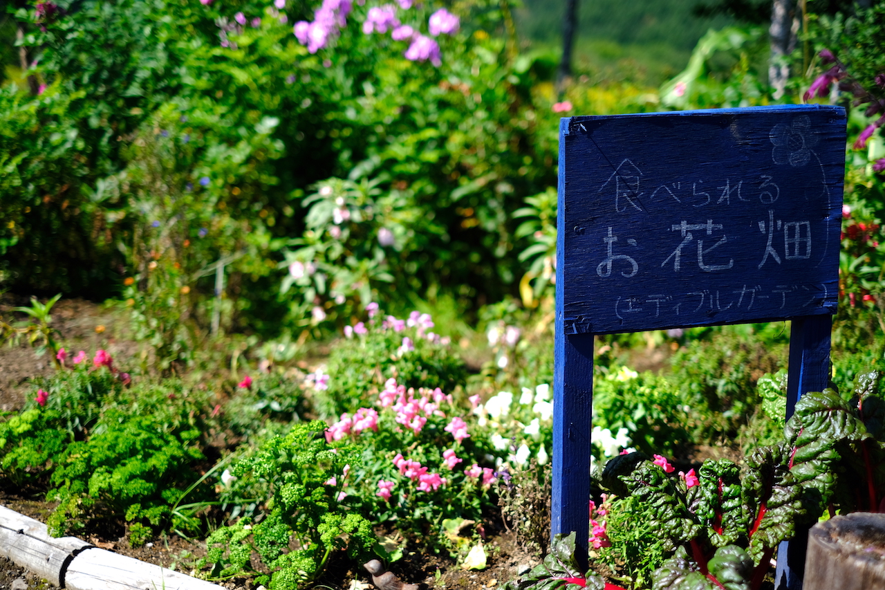 北海道のローズガーデン・鶴居村の丹頂と薔薇のどれみふぁ空ガーデン