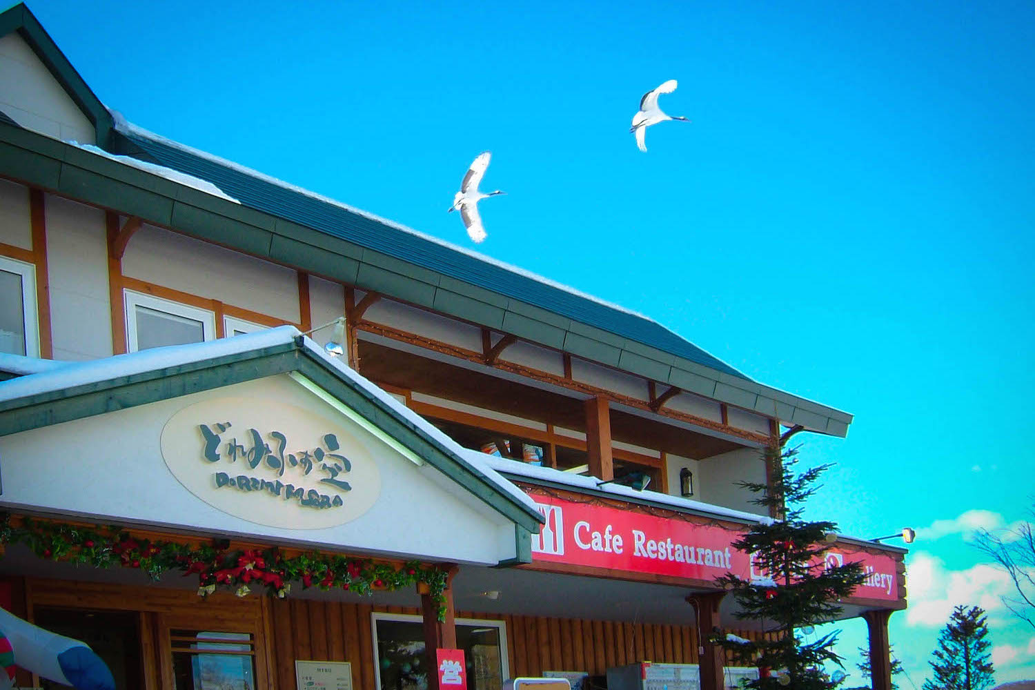 丹頂のレストランと北海道ガーデニング・鶴居村の『どれみふぁ空』