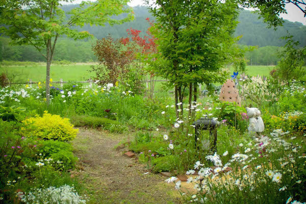 Hokkaido garden16