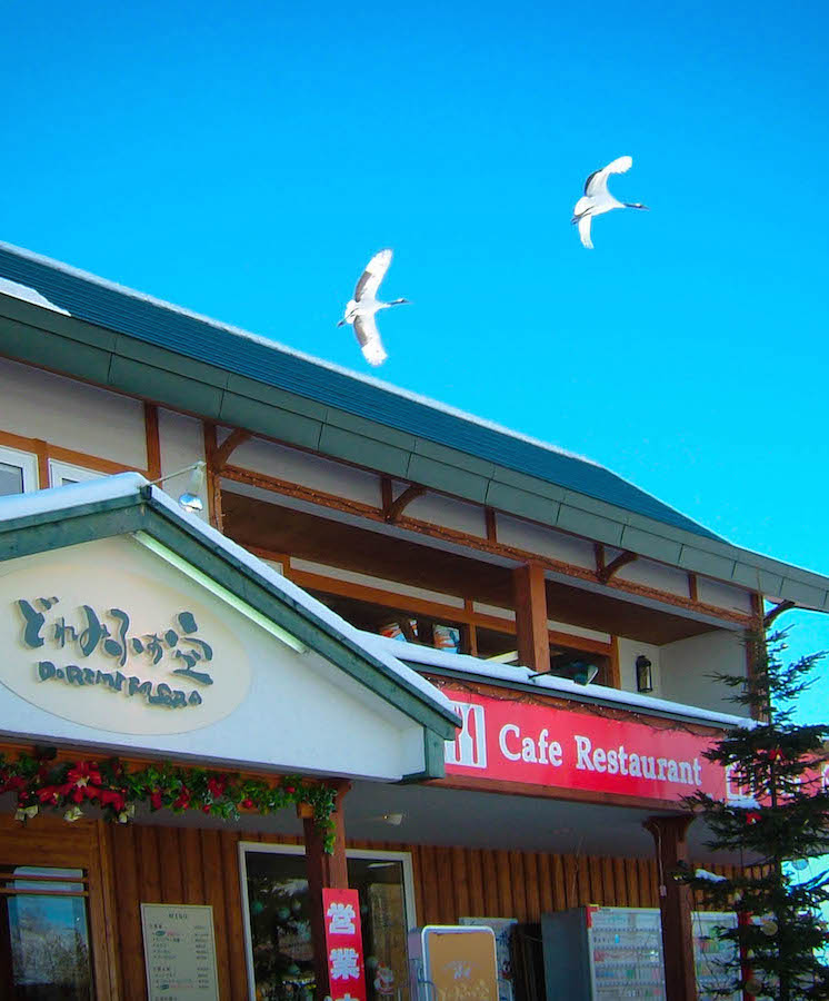 丹頂とガーデニングを楽しみながらヘルシーランチ・鶴居村のレストラン『どれみふぁ空』